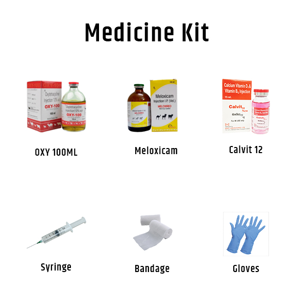 Medicine Kit