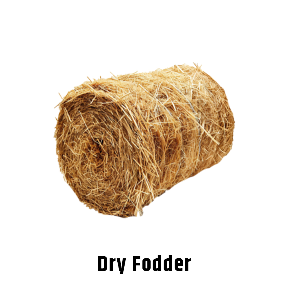 Dry Fodder