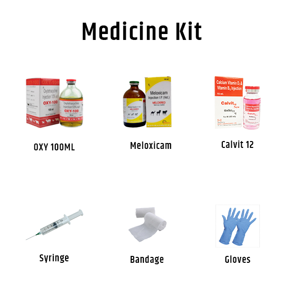 Dog Medicine Kit