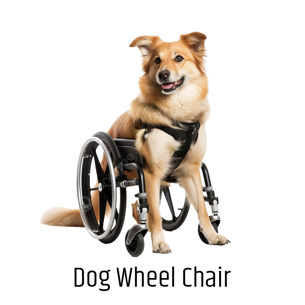 Dog Wheel Chair